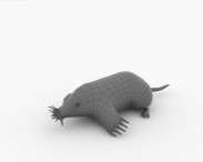 Star-Nosed Mole 3d model