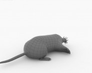 Star-Nosed Mole 3d model