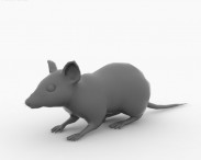 Mouse Gray 3d model