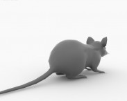 Mouse Gray 3d model