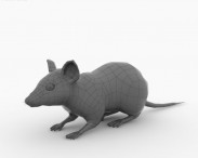 Mouse Gray 3d model