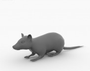 Black Rat 3d model