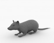 Black Rat 3d model