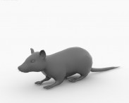 White Rat 3d model