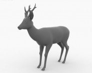 Roe Deer 3d model