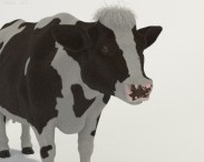 Cow HD 3d model