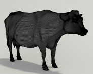 Cow HD 3d model