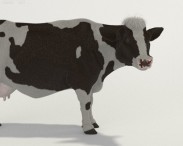 Cow HD 3d model