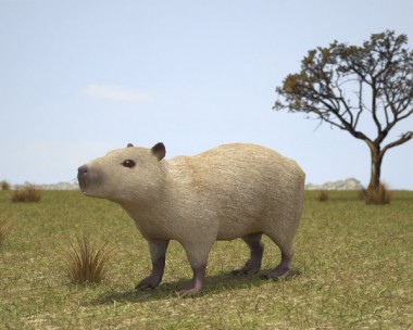 Capybara