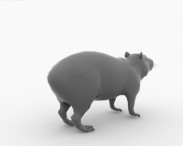 Capybara 3d model