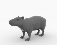 Capybara 3d model