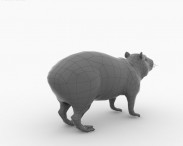 Capybara 3d model