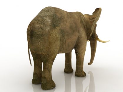 elephant 3d model free download