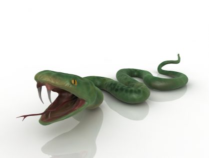 3D Snake Models ~ Download a Snake 3D Model