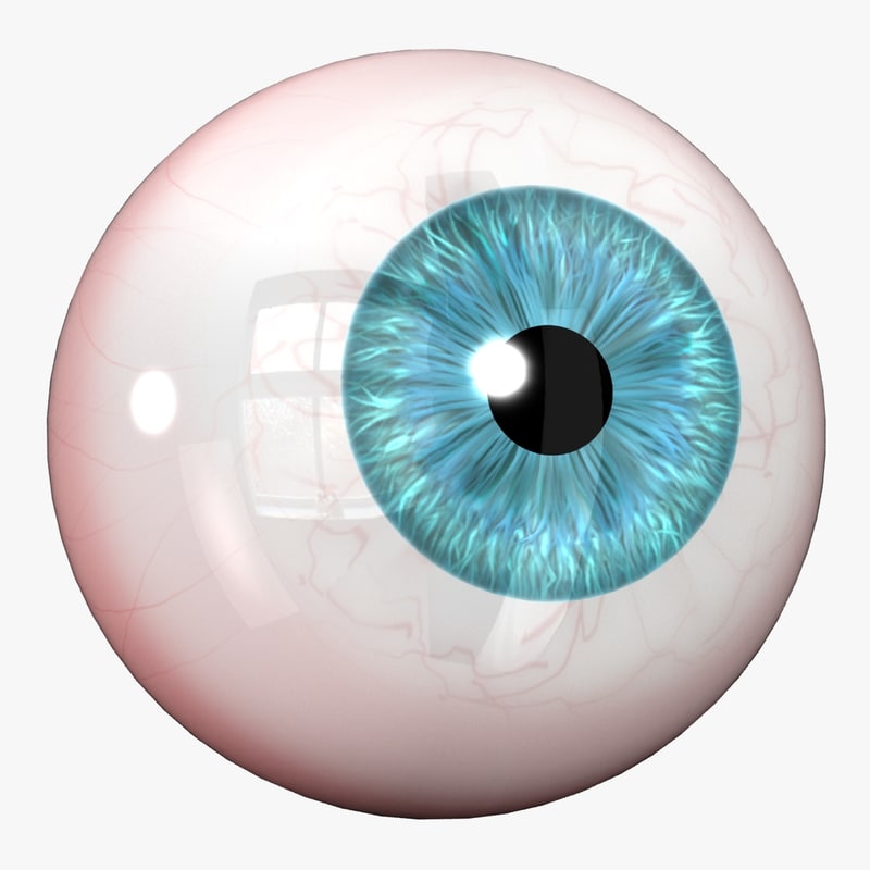 Realistic Eyeball - Free 3D models