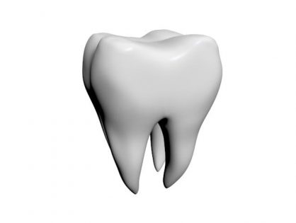 Tooth