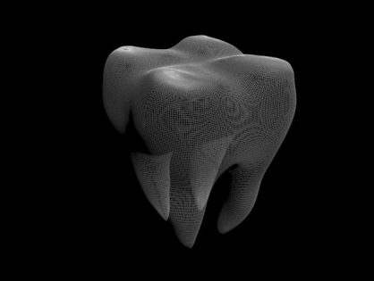 Tooth 3D model Download for Free