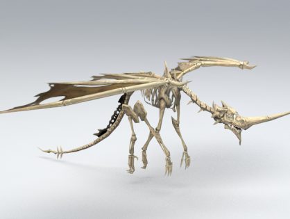 Dragon Skeleton