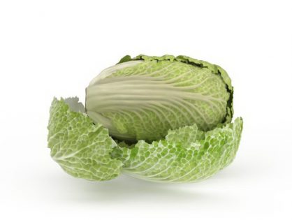 Celery cabbage