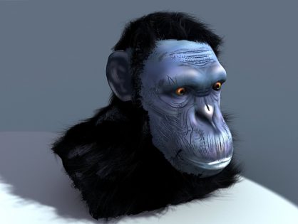 Chimpanzee Head 3D model