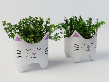 Plants in vases 3D model