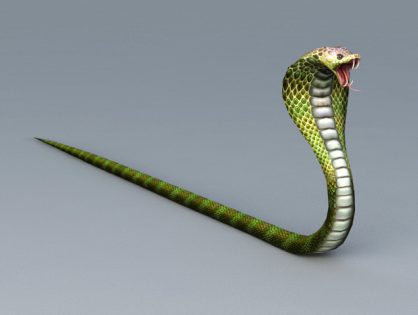 Cobra Snake 3d model Object files free download - modeling 44849 on CadNav