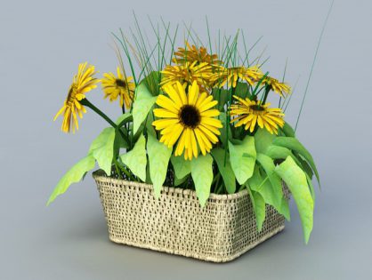 Yellow Daisy 3D model