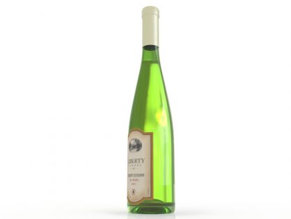 Wine bottle 3D model